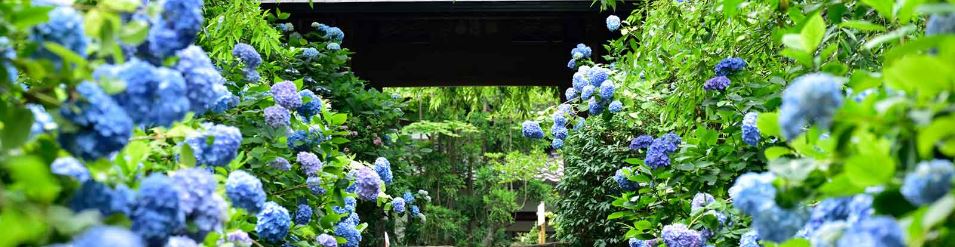 梅雨明け01